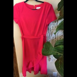 Calvin Klein pink dress. NWT